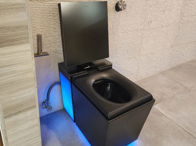 the toilet
